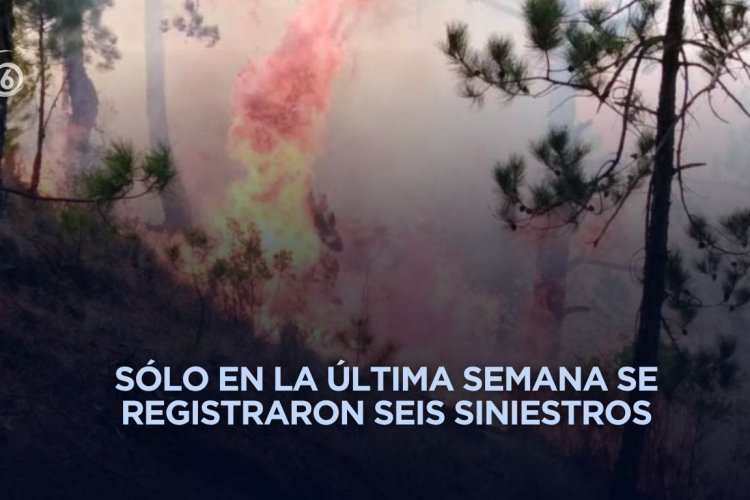 Más de 51 incendios forestales se han registrado en Veracruz en 2026