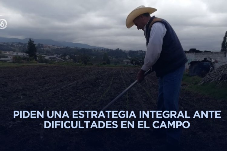 Clima extremo y falta de apoyos podría agravar crisis en el campo mexicano