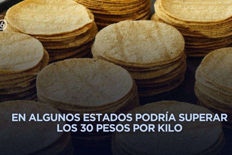Precio de la tortilla podría incrementar en algunas zonas del país