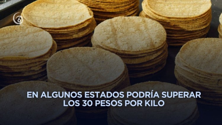 Precio de la tortilla podría incrementar en algunas zonas del país