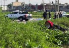 Encuentran cuerpos sin vida con señales de violencia en Tecámac
