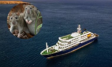Secretario General de ONU dice que brote de hantavirus no representa una amenaza seria