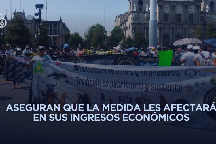 Se manifiestan en Toluca galleros en rechazo a la Ley de Bienestar Animal