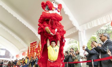 Fiestas de China buscan promover identidad nacional y fuerza colectiva: académico