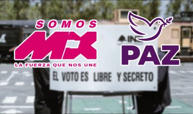 INE niega registro a dos nuevo partidos mientras otros dos serán constituidos