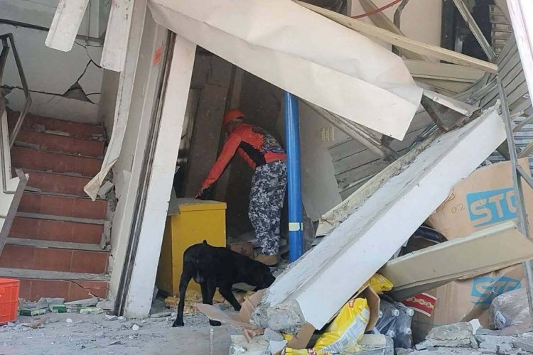 Terremoto de magnitud 7.8 deja decenas de muertos y severos daños en Filipinas